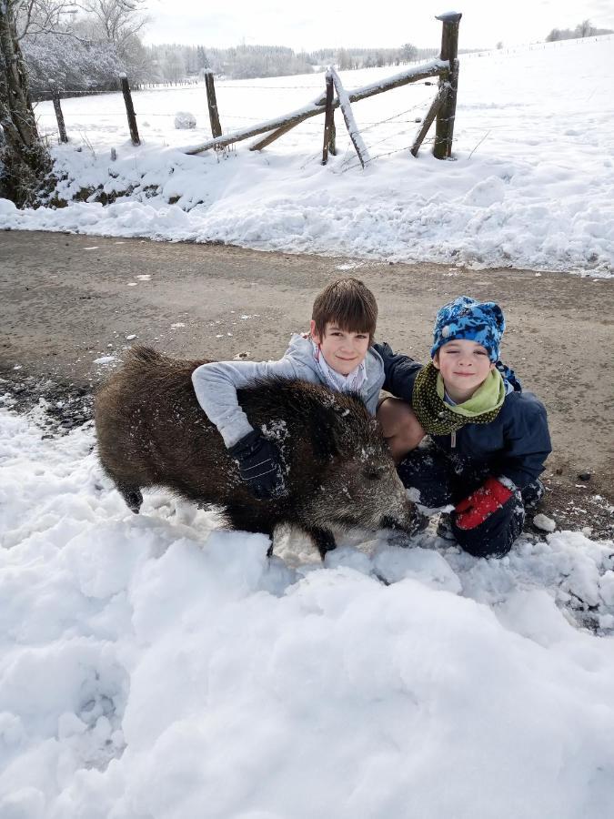 Gouvy Gite Le Cheval Ardennais מראה חיצוני תמונה